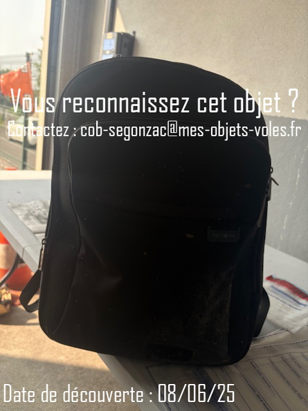 Sacs samsonite.jpg