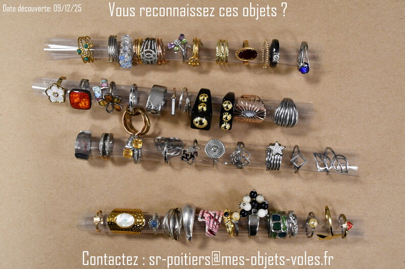 CIC_2479 (Personnalisé).JPG