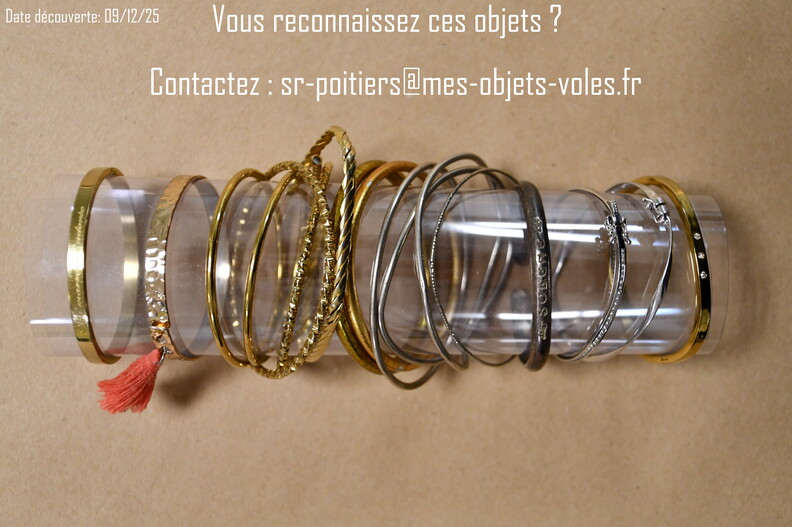 CIC_2486 (Personnalisé).JPG