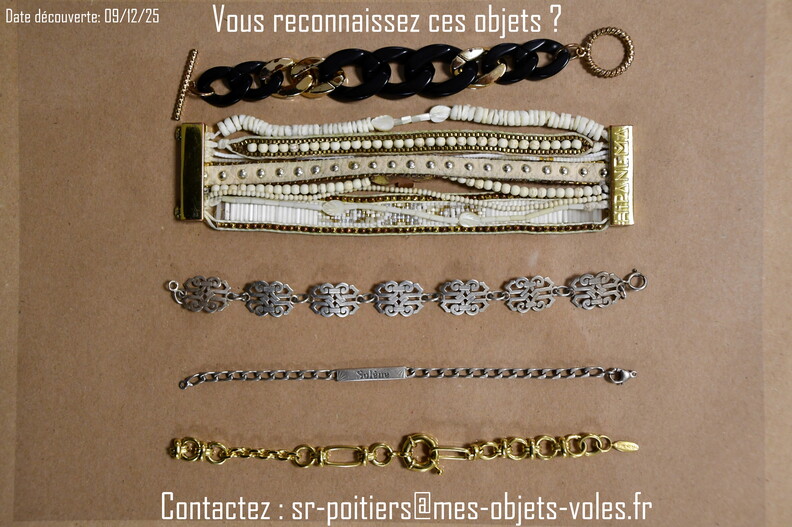 CIC_2488 (Personnalisé).JPG