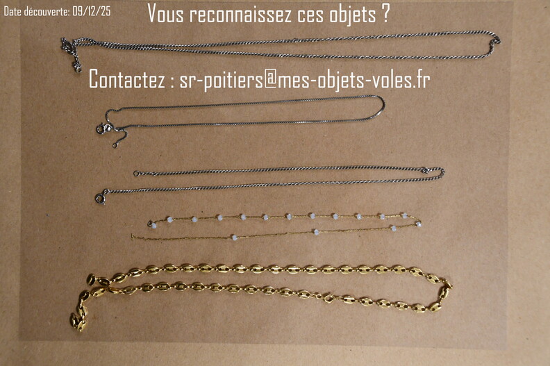 CIC_2470 (Personnalisé).JPG