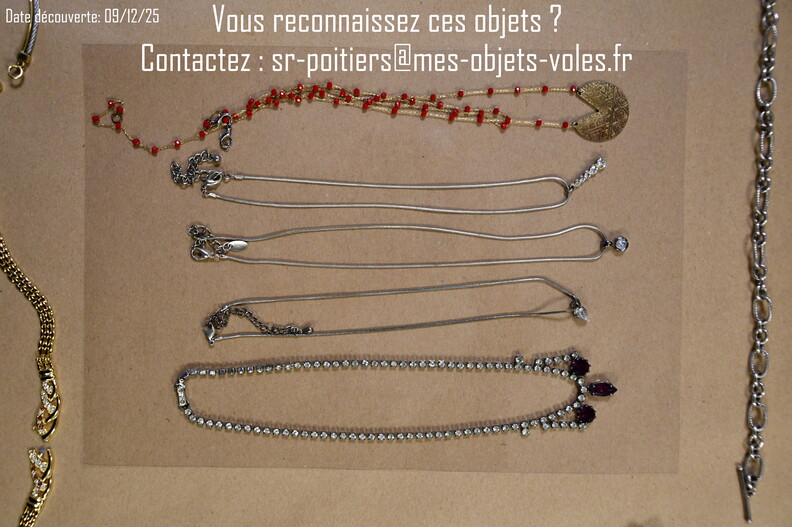CIC_2461 (Personnalisé).JPG