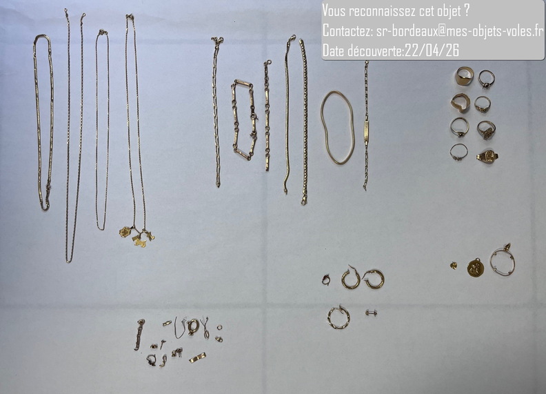 SR-Bordeaux-Boucle oreille.jpg